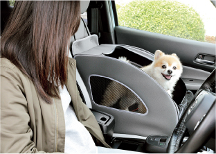 ドッグアイテム