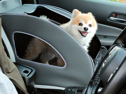 �y�b�g�V�[�g�v���X���Q