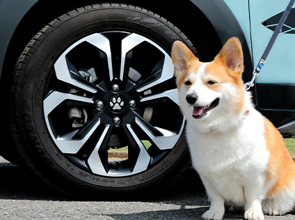 �y�b�g�Z���^�[�L���b�v�i�����j