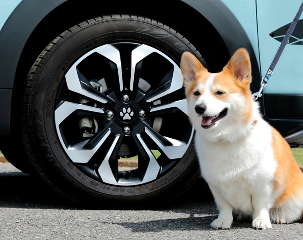 Honda Dog���u���ɂ��h�[��2022 in ���É��v�ɏo�W