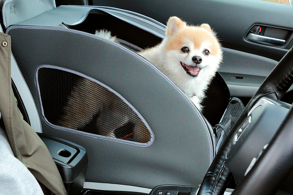 �����p�A�N�Z�T���[�uHonda Dog�V���[�Y�v