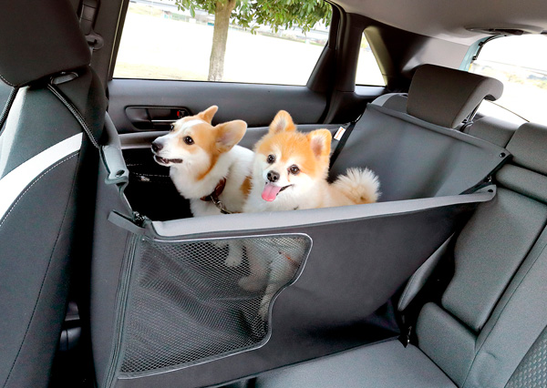 �uSippo Festa 2022�i�H�j�vHonda Dog�o�W�T�v