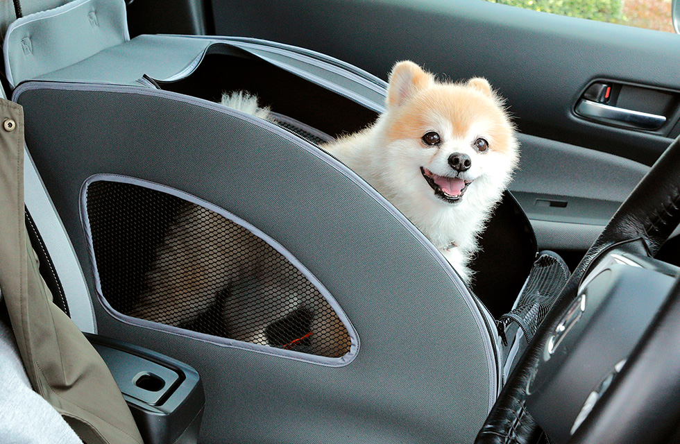 HondapANZT[uHonda DogvV[Y ybgV[gvX2