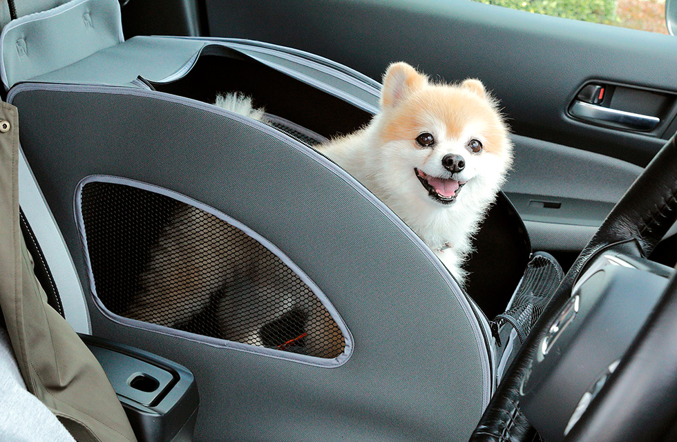 �uHonda Dog�v�V���[�Y �y�b�g�V�[�g�v���X���2