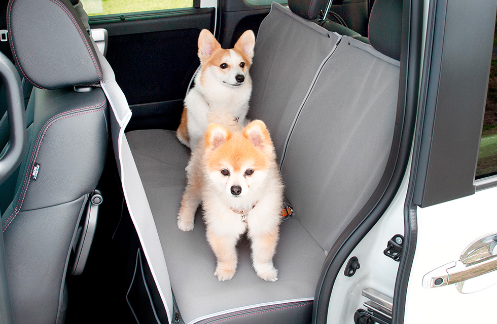 �uHonda Dog�v�V���[�Y �y�b�g�V�[�g�}�b�g