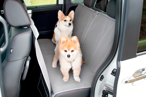 Honda Dog�uSippo Festa 2025�~�v�o�W�T�v