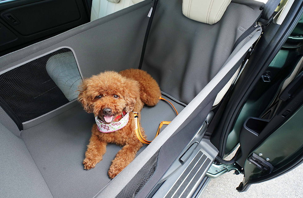 ���������p�A�N�Z�T���[�uHonda Dog�v�V���[�Y �y�b�g�V�[�g�T�[�N��