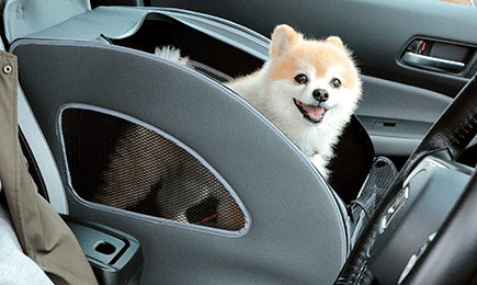 Honda Dog�V���[�Y