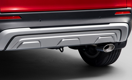 リアロアーガーニッシュ