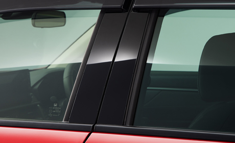 ピラーガーニッシュ