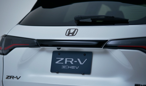 リアライセンスガーニッシュ写真