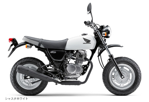 �V���X�^�z���C�g