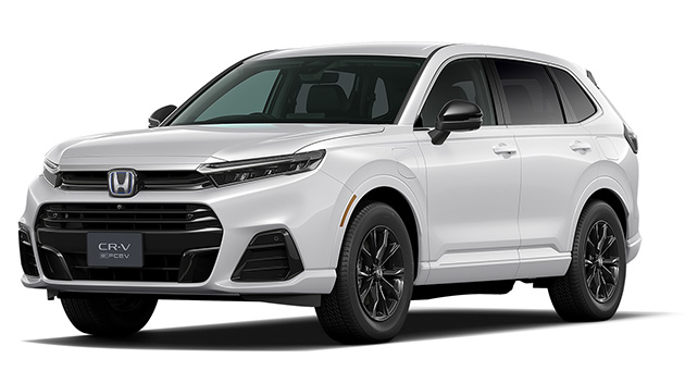 プラチナホワイト・パール