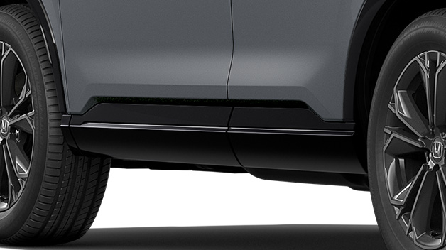 ドアロアーガーニッシュ〈クリスタルブラック・パール〉