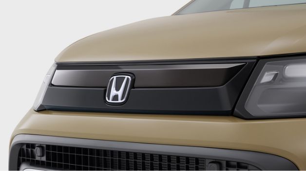 フロントグリル（ベルリナブラック×ブラッククロームメッキ）