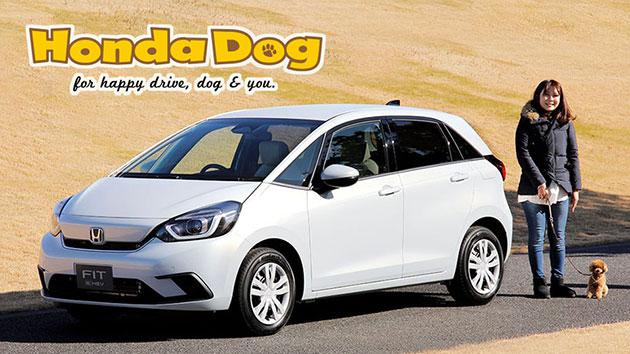 Honda Dog 