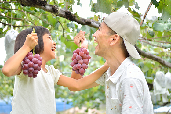 旬をまるごと！この秋行きたい果物狩り