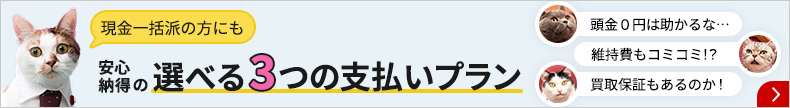 現金一括派の方にも安心納得の選べる3つの支払いプラン
