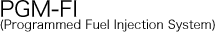 PGM-FI�iProgrammed Fuel Injection System�j
