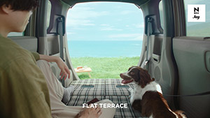 【N-BOX JOY】TVCM（WEB版）「どこでJOYする？」篇 30秒