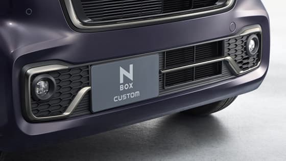 ダーククロームメッキフォグライトガーニッシュ