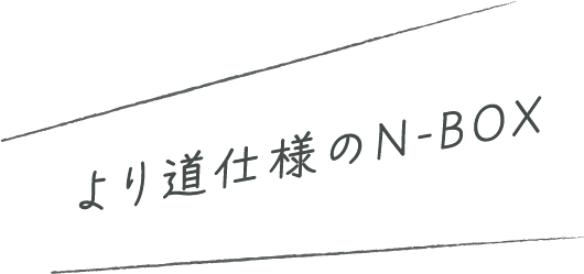 より道仕様のN-BOX