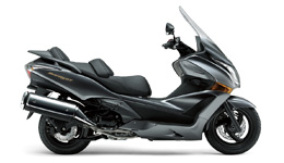 �V���o�[�E�C���OGT��600��