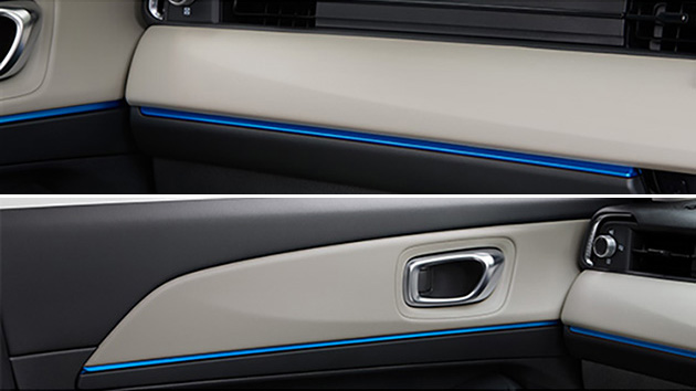 インパネガーニッシュ&ドアライニングガーニッシュ（ライトブルー）