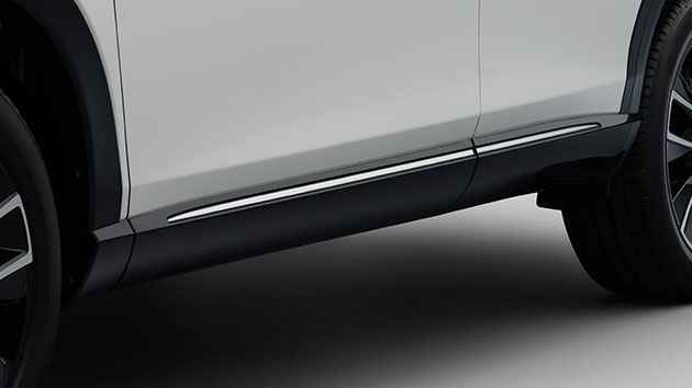 ドアロアーガーニッシュ（プラチナクローム）