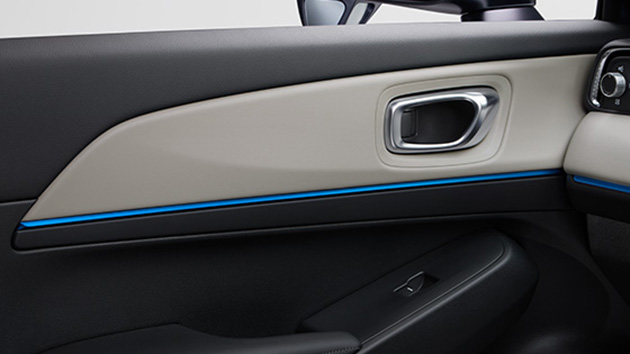 ドアライニングガーニッシュ（ライトブルー） 