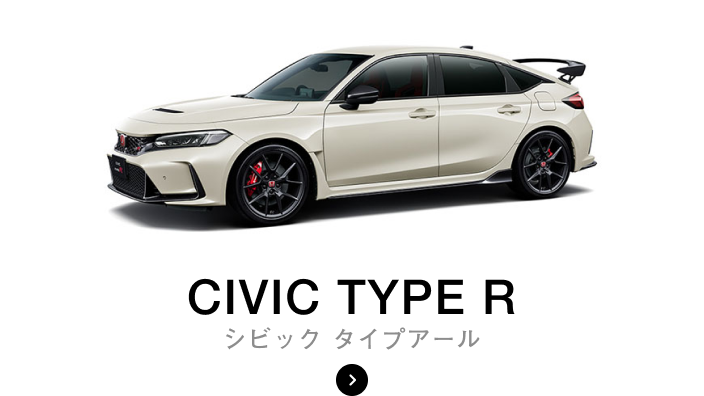 チャンピオンシップホワイト