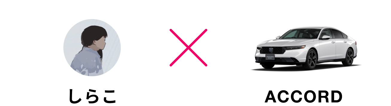 しらこ x ACCORD