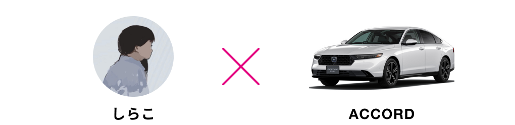 しらこ x ACCORD