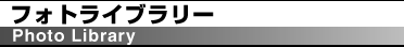 �t�H�g���C�u�����[