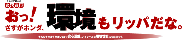 �Ȃ�قǗ������S�i���@�����I�������z���_�A�������b�p���ȁB�@��������̂͂��S�g����������S���ځB�n�C���x���Ȋ����\�ɂ����ڂł��B