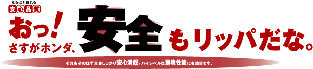 �Ȃ�قǗ������S�i���@�����I�������z���_�A���S�����b�p���ȁB�@��������̂͂��S�g����������S���ځB�n�C���x���Ȋ����\�ɂ����ڂł��B