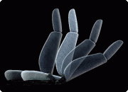 �V�[�g�X���C�h���V�[�g���N���C�j���O
�i�^�]��/����ȁj