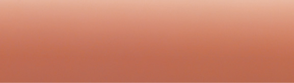 �u���C�Y�I�����W���^���b�N