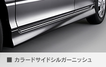 �J���[�T�C�h�V���K�[�j�b�V��