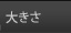�傫��