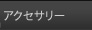 �A�N�Z�T���[