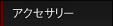 �A�N�Z�T���[