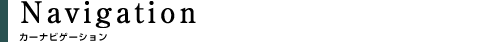 �J�[�i�r�Q�[�V����