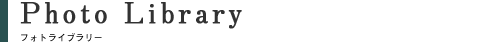 �t�H�g���C�u�����[