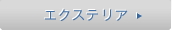 �G�N�X�e���A
