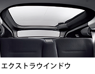 �G�N�X�g���E�C���h�E