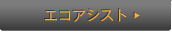 �G�R�A�V�X�g