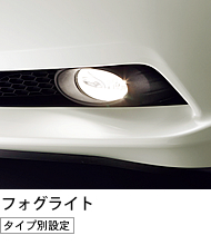 �t�H�O���C�g�m�^�C�v�ʐݒ�n