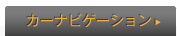 �J�[�i�r�Q�[�V����