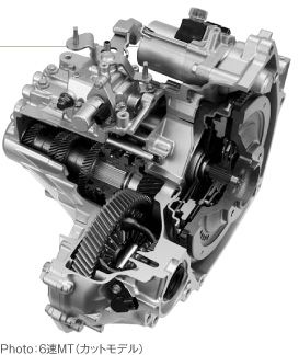 Photo�F6��MT�i�J�b�g���f���j